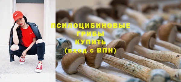 мдма Гвардейск