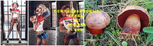 мескалин Няндома