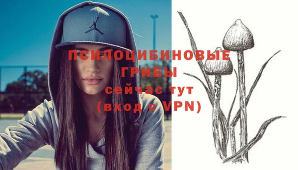 соль курить ск Нязепетровск