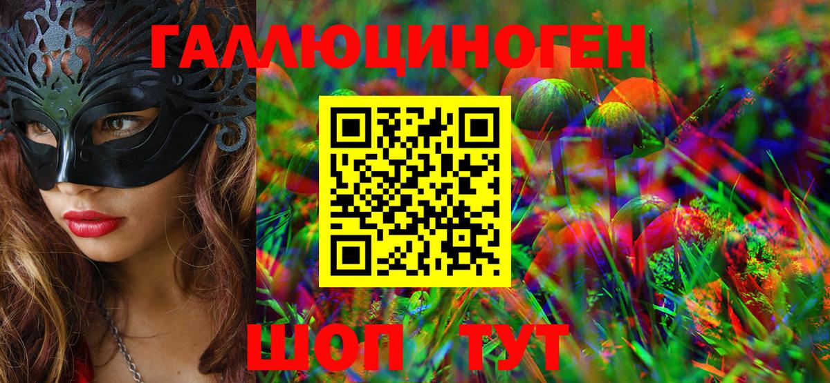 Псилоцибиновые грибы Psilocybe  Бийск 