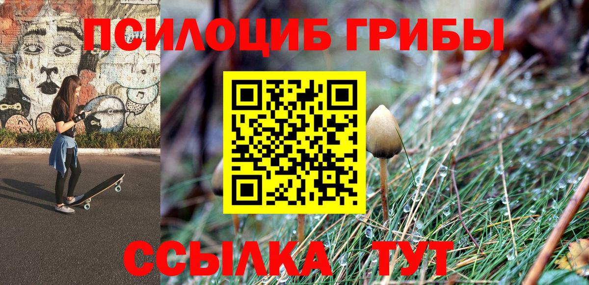 Галлюциногенные грибы прущие грибы Бийск